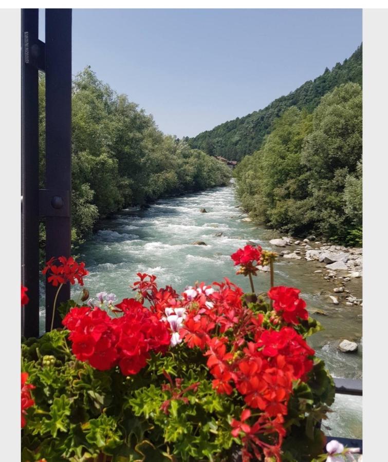 Marilleva 1400 Tra Sport E Natura Exteriér fotografie