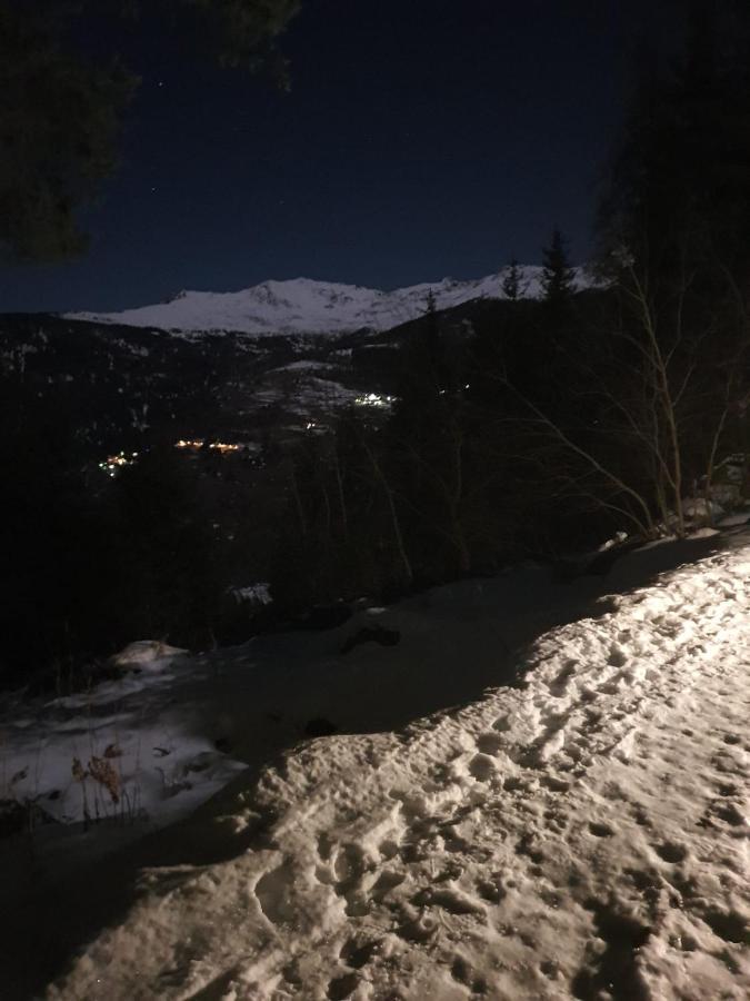 Marilleva 1400 Tra Sport E Natura Exteriér fotografie